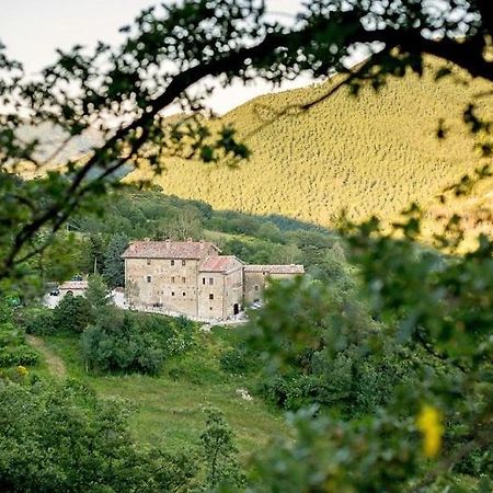 بييترالونجا Country House Villa La Farfalla المظهر الخارجي الصورة