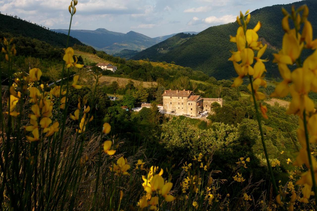 بييترالونجا Country House Villa La Farfalla المظهر الخارجي الصورة